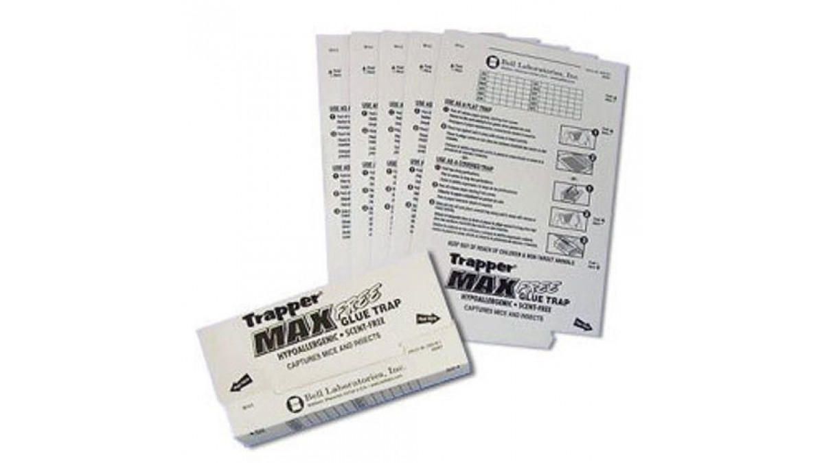 Insect Traps Scented Trapper Max Glue Traps 12 Glue Boards Trap Mouse